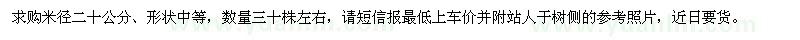 求購米徑20公分雪松