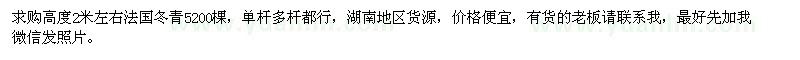 求購高度2米左右法國冬青