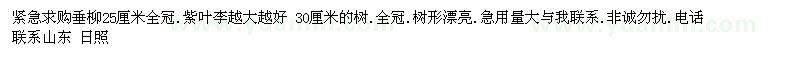 求購垂柳、紫葉李