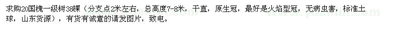 求購20公分國槐