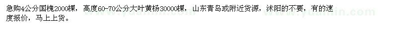 求購(gòu)4公分國(guó)槐、高度60-70公分大葉黃楊
