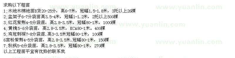 求購盆架子、紅花紫荊、黃槐、雞冠刺桐、宮粉紫荊