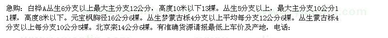 求購白樺 元寶楓 叢生蒙古櫟