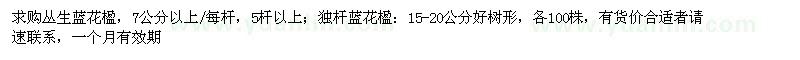 求購7公分以上叢生藍花楹