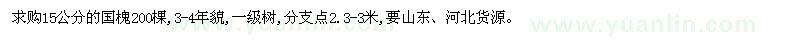 求購15公分的國槐