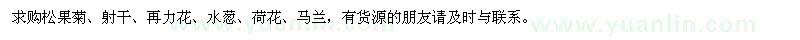 求購松果菊、射干、再力花、水蔥、荷花、馬蘭