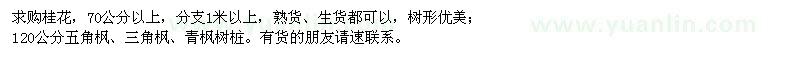 求購桂花、五角楓、三角楓、青楓