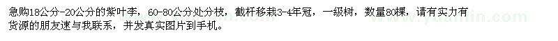 求購18公分-20公分紫葉李