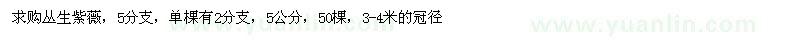 求購5公分叢生紫薇