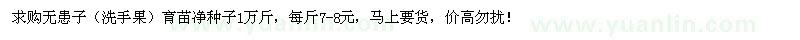 求購無患子（洗手果）育苗凈種子