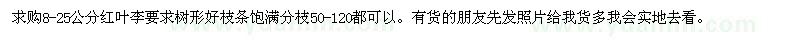 求購8-25公分紅葉李