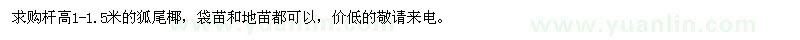 求購桿高1-1.5米狐尾椰