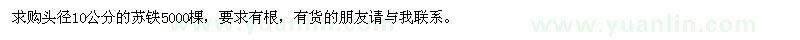 求購頭徑10公分蘇鐵
