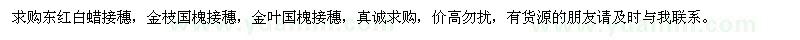 求購東紅白蠟接穗，金枝國槐接穗，金葉國槐接穗