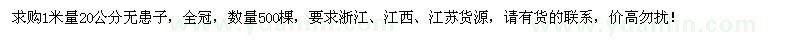 求購1米量20公分無患子