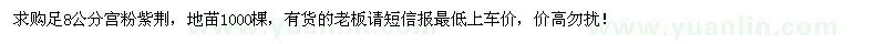 求購(gòu)8公分宮粉紫荊
