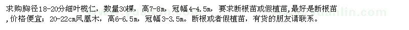 求購18-20分細葉欖仁、20-22cm鳳凰木