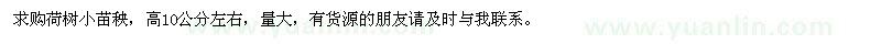求購高10公分左右荷樹小苗秧