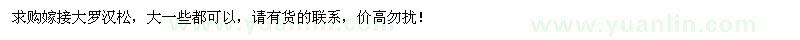 求購嫁接大羅漢松