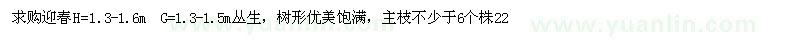 求購(gòu)高1.3-1.6米迎春