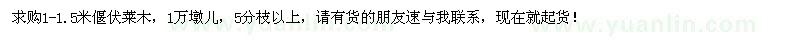 求購1-1.5米偃伏萊木
