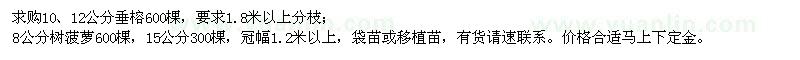 求購10、12公分垂榕、8公分樹菠蘿