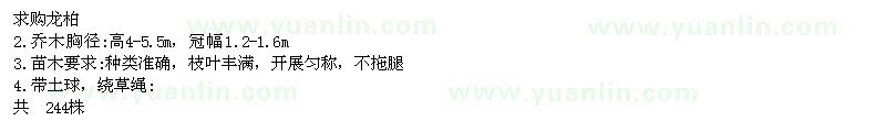 求購高4-5.5米龍柏