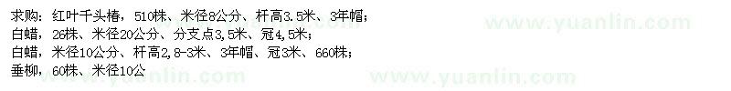 求購(gòu)紅葉千頭椿、白蠟、垂柳