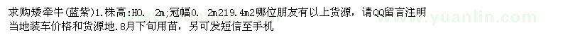求購高0.2米矮牽牛