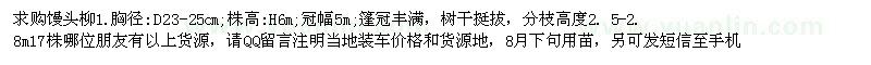 求購胸徑23-25公分饅頭柳