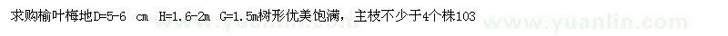 求購(gòu)地徑5-6公分榆葉梅