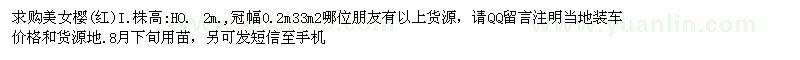 求購高0.2米美女櫻