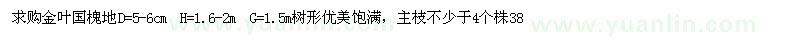 求購(gòu)地徑5-6公分金葉國(guó)槐