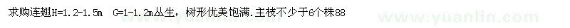 求購高1.2-1.5米連翹