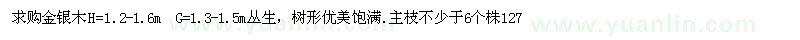 求購(gòu)高1.2-1.6米金銀木