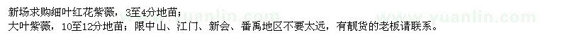 求購(gòu)細(xì)葉紅花紫薇、大葉紫薇