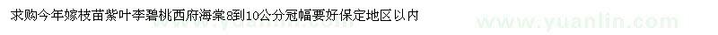 求購今年嫁枝苗紫葉李、碧桃、西府海棠