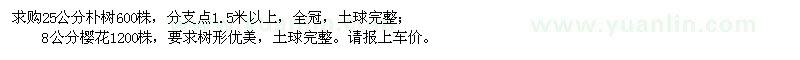求購(gòu)25公分樸樹(shù)、8公分櫻花