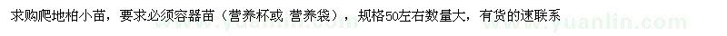 求購50公分左右爬地柏小苗