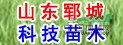 遼寧朝陽(yáng)國(guó)槐價(jià)格、白蠟，法桐大規(guī)格柳樹(shù)價(jià)格
