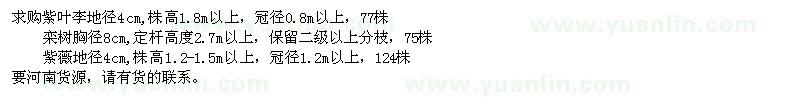 求購4公分紫葉李、紫薇、8公分欒樹