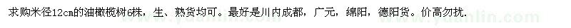 求購米徑12公分油橄欖樹(shù)