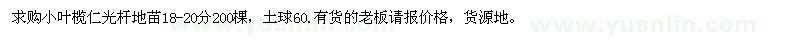 求購(gòu)小葉欖仁光桿地苗