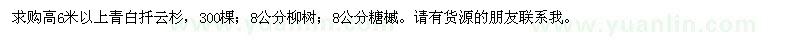 求購青白仟云杉、柳樹、糖槭