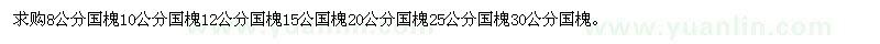 求購國槐