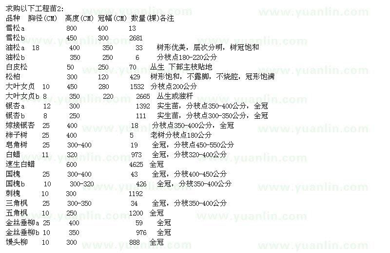 求購油松、白皮松、大葉女貞扥工程苗