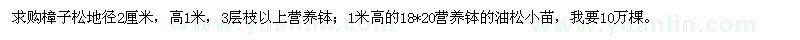 求購地徑2公分樟子松、1米油松小苗