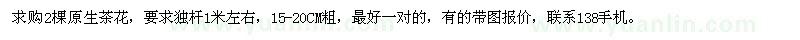 求購15-20公分茶花