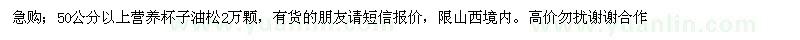 求購50公分以上營養(yǎng)杯子油松2萬顆 