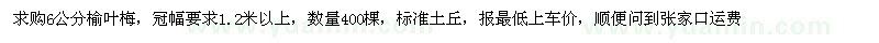 求購6公分榆葉梅